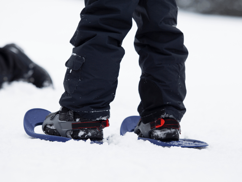 Raquetas de nieve